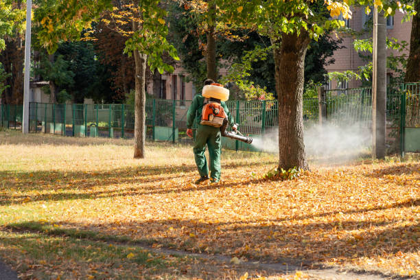 Reliable West Glens Falls, NY Pest Control Solutions